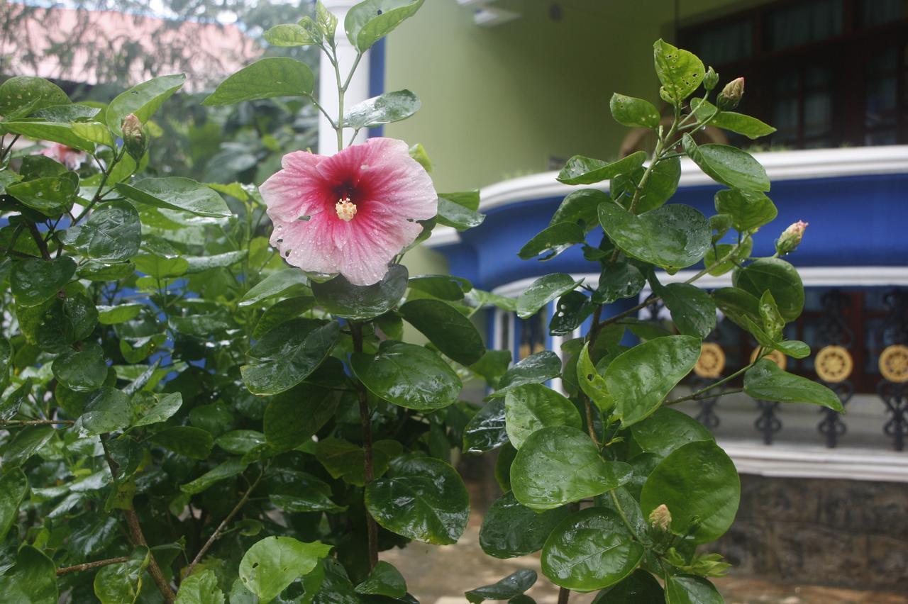 Anitha'S Garden Stay Kovalam Εξωτερικό φωτογραφία